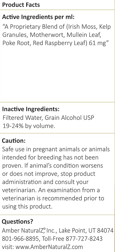 Amber NaturalZ TYD Thyroid Balance Herbal Supplement for Dogs, Cats, Birds, Guinea Pigs, and Rabbits | Herbal Pet Supplement for Thyroid Health | 4 Fluid Ounce Glass Bottle | Manufactured in The USA