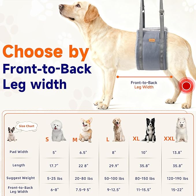 Dog Lift Harness for Medium Dog, Adjustable Dog Sling for Back Legs, Hip Support Harness to Help Lift Dogs Rear for Helps Senior, Injured, Disabled and After ACL Surgery Dogs - Medium, Grey