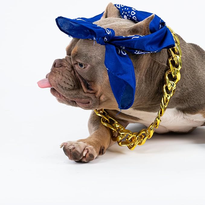 2Pack Dog Costume Set, Adjustable Gold Plated Dog Chain Collar and Headband Hip Hop Square Satin Head Scarf Head Cover Apparel Party Costume Cosplay Accessories for Medium Large Dogs(Blue)