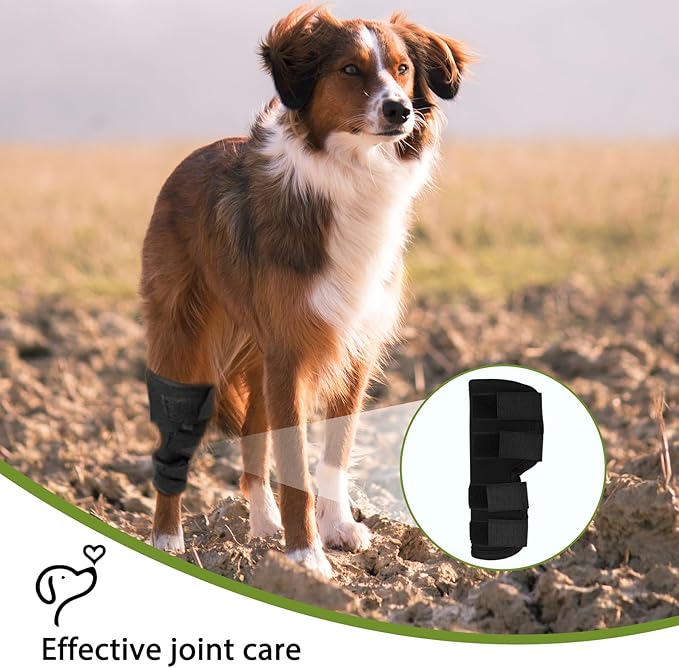 Dog Leg Braces for Rear Leg, Adjustable Dog Leg Sleeve Added Mobility Safety for Active Aging Dogs, Knee Support Straps for Outdoor Adventures Daliy Use Enhanced Stability (L)