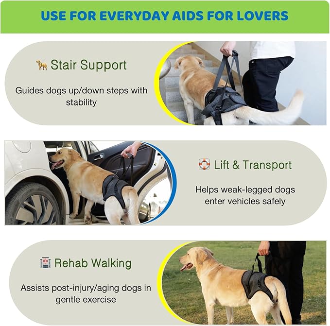 Dog Lift Harness for Back Legs–Sturdy Dog Support Sling–Hip Sling Carrier for Large Medium Canine, Stair Helper for Aid Old Ligament Rehabilitation Pet, Grey-XL