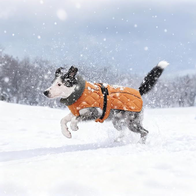 Dog Coat Winter, Waterproof Quilted Dog Jacket for Cold Weather, Reflective Adjustable Puppy Winter Coat, Warm Turtle-Neck Pet Fleece Snow Jacket for XX-Large Dogs, NewOrange XXL