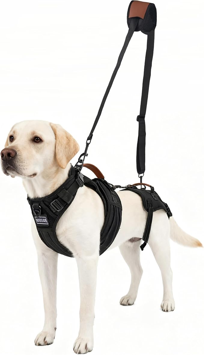 Dog Lift Harness for Male Dogs - 2-in-1 Full Body Support Aid & Sling, Comfortable & Chafe-Free for Post-Surgery Recovery and Elderly Dog Mobility, Hind Leg Assistance, Supports up to 40 Lbs (M)