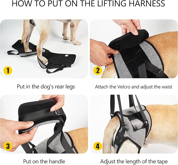 Dotoner Dog Sling for Large Dogs Hind Leg Support to Help Rehabilitate The Hind Limbs of Elderly Dogs with Weak Hind Legs Disabilities and Injuries Dog Harness Helps Arthritis ACL Recovery（S,Grey）