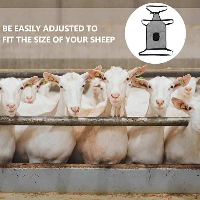 Adjustable Sheep Anti-Mating Apron with Breathable Mesh and Secure Strap for Goat and Livestock Breeding Control and Management