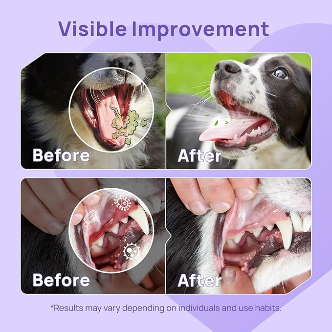 HICC PET Dog Dental Care Spray, Vet-Recommended Breath Freshener & Teeth Cleaning Spray, Eliminate Bad Breath, Relieve Gum Redness & Infections, Reduce Plaque & Tartar, No Brushing, 5.1 Fl Oz