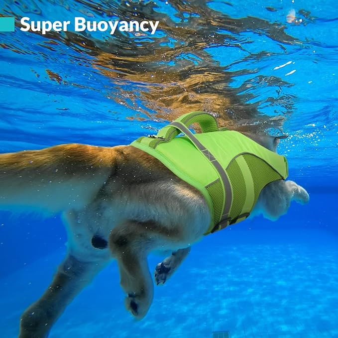 Queenmore Dog Life Jacket, Adjustable Ripstop Dog Life Vest for Swimming Boating, Doggy Lifesaver with Superior Buoyancy and Rescue Handle, Pet Swimming Vest for Large Dogs（Green,L）