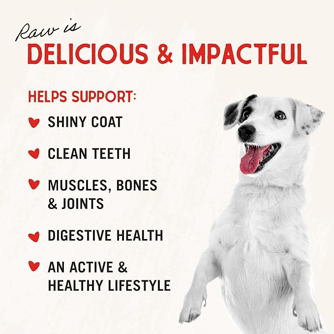 Stella & Chewy's Freeze-Dried Raw Chicken Heart Dog Treats - Single Ingredient, No Additives - Premium Training Treats - Perfect For Picky Eaters - 11oz Bag