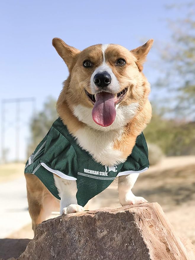 Pets First NCAA College Michigan State Spartans Mesh Jersey for DOGS & CATS, Medium. Licensed Dog Jersey with your Favorite Football/Basketball College Team