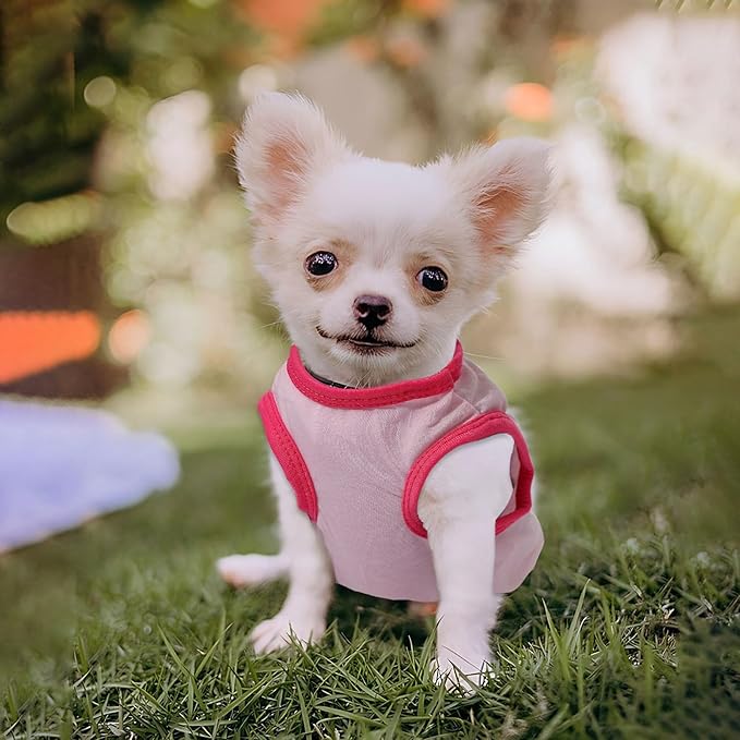 4 Pack Dog Shirts for Small Dogs Spring Summer Printed Puppy Clothes Cute Pet T Shirts Dog Clothes for Small Dogs Cats Girl (Grey+Pink+Purple,Black, XS)