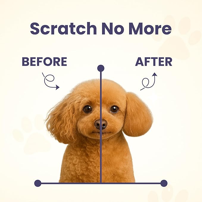 Project Sudz Spa Collection Liquid Shampoo – Driftwood & Amber | Natural Pet Shampoo for Dogs & Cats | Eco-Friendly, Gentle, Non-Toxic, Made in USA