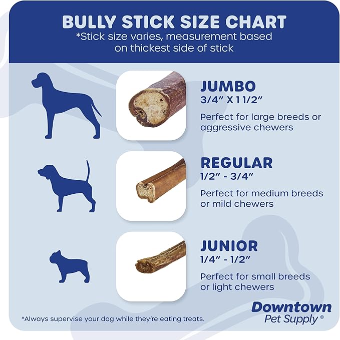 Downtown Pet Supply Bully Sticks - 12" REGULAR - 4 Pack -SOUTH AMERICA & TURKEY