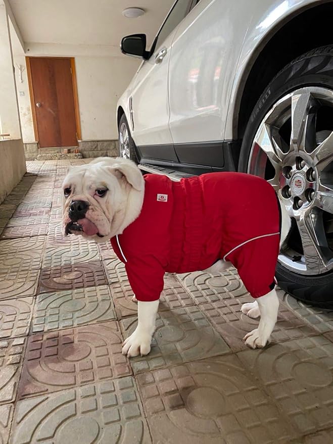 Lovelonglong Waterproof Dog Raincoat – 4-Leg Full Body Dog Rain Suit with Reflective Strips & Leash Opening, Outdoor Dog Jacket for Rainy Weather