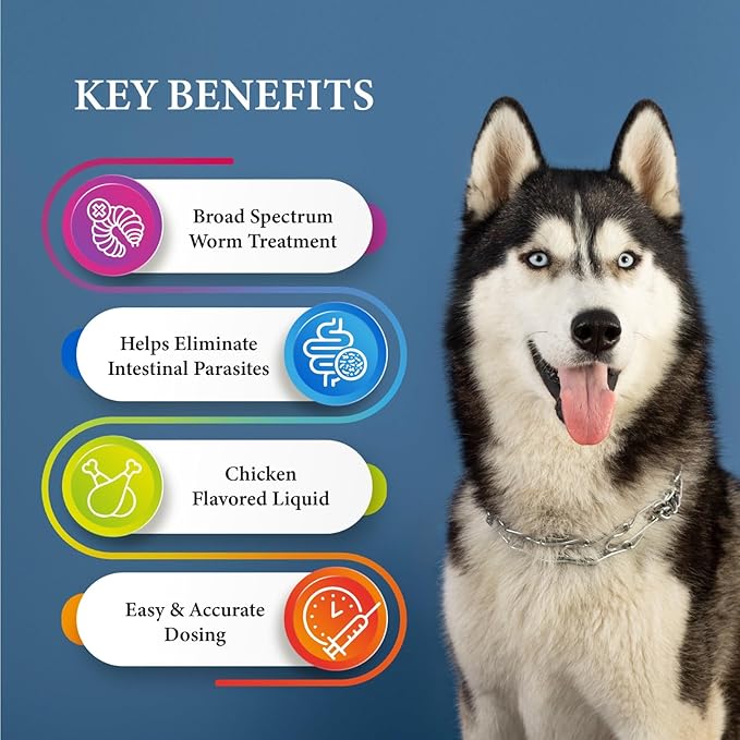 No More Worms in Dogs - Say Good Bye to Worms in Dogs -Dewormer for Dogs and Puppies - 120mls Chicken Flavour with 3ml