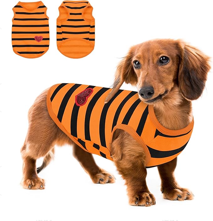 Queenmore Large Dog Shirt,Soft Breathable Dog Shirt for Dogs Cats Boy Girl,Pet Clothes for All Season,Breathable Lightweight Pet Tshirt for Frenchie, Dachshund, Yorkie