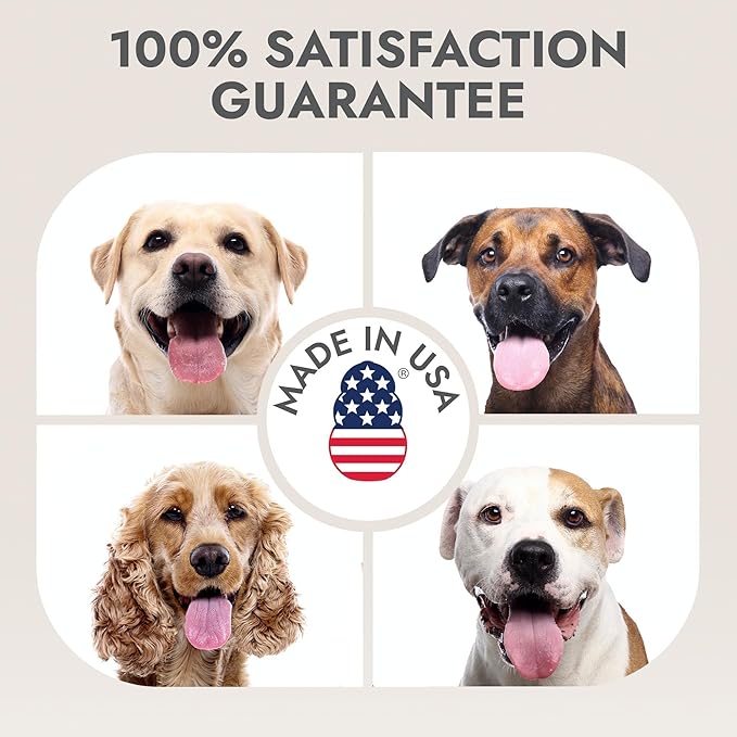 Kong Leave-in Waterless Shampoo for Dogs – Fresh & Clean Scent, 16 fl oz – No-Rinse, Biodegradable, Alcohol-Free, Dye-Free, Cruelty-Free, Gentle on Sensitive Skin, for All Coat Types, Made in USA