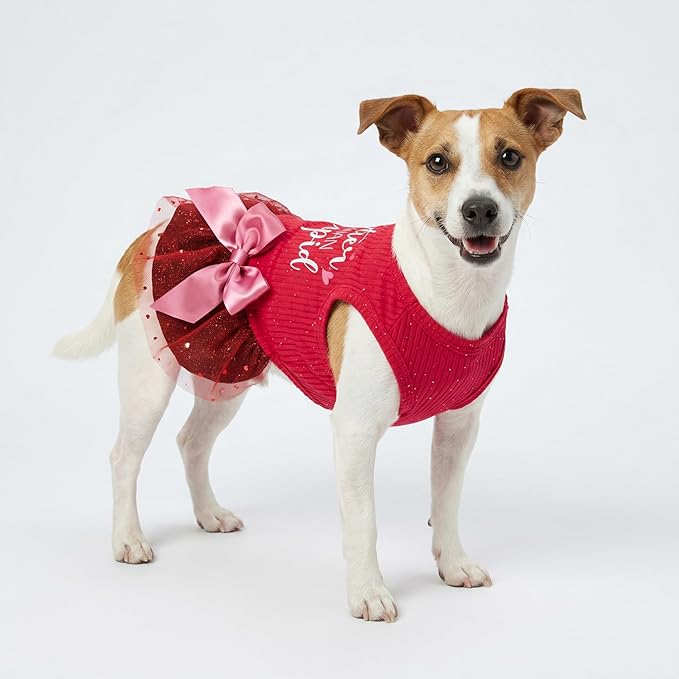 Fitwarm Cuter Than Cupid Dog Tulle Dress, Cute Girl Dog Clothes, Funny Pet Apparel, Burgundy Red, Large