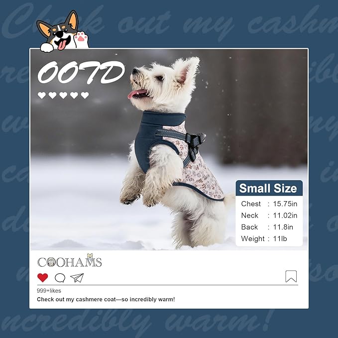 Dog Winter Coat for Small & Medium Dogs, Waterproof Dog Coat with Harness, Puppies Windproof Puppy Puffer Jacket, Snowsuit for Dachshund, Frenchie, Corgi (Paw Blue,XL)