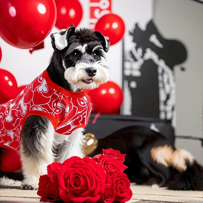 Valentines Dog Shirts for XXL Girl Boy Male Female Sleeveless Tank Top Tee Vest T-Shirts Black Red Outfit Pack of 2