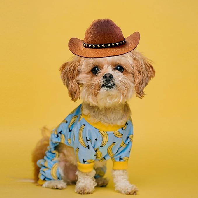 Dog and Cat Cowboy Hat with Bandana Scarf - Mini Pet Costume for Halloween, Holiday, Party Decoration (Brown, Large)