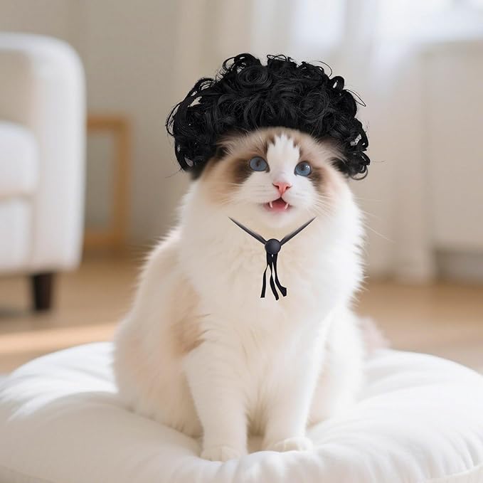1 Pcs Funny Pets Wigs for Dog, Funny Black Curly Dog Wig Adjustable Pet Wigs for Halloween Pet Costume Accessories for Halloween, Christmas, Parties, Festivals Cosplay