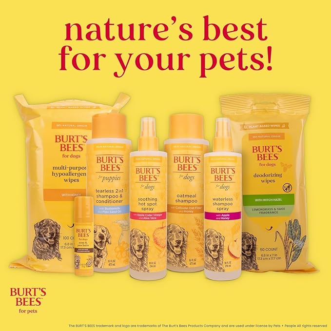 Burt's Bees for Pets Dog Detangling Spray, Natural Leave-In Coat Detangler & Dog Deodorizing Grooming Spray with Lemon, pH Balanced for Dogs, Paraben & Sulfate Free, 10 Fl Oz - 2 Pack