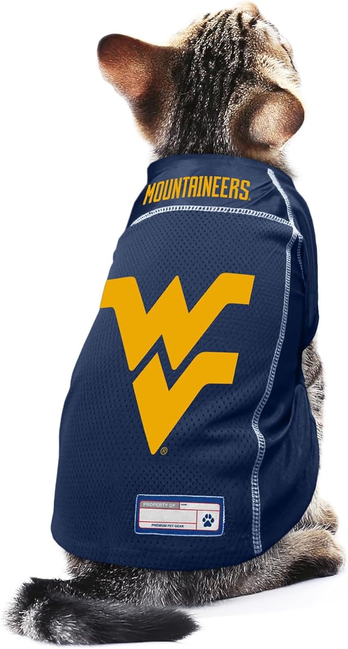 Littlearth NCAA Arizona Wildcats Basic Pet Jersey, Team Color, X-Large