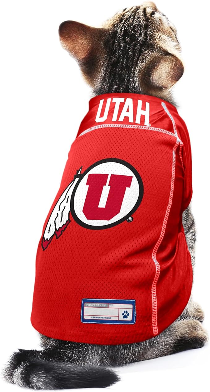 Littlearth NCAA Arizona Wildcats Basic Pet Jersey, Team Color, X-Large