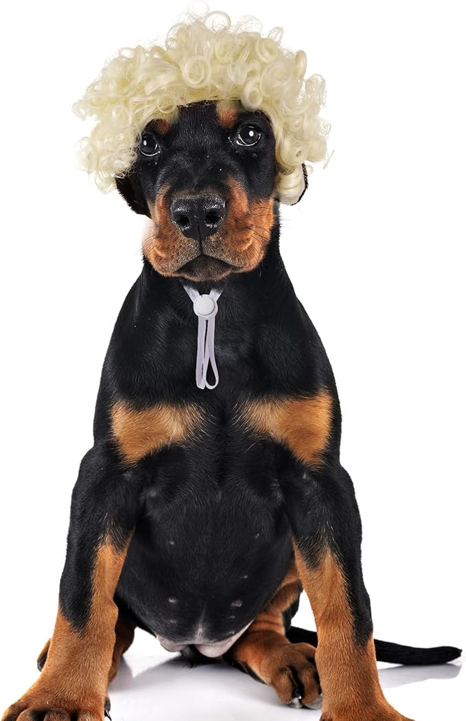 1 Pcs Funny Pets Wigs for Dog, Blonde Curly Dog Wig Adjustable Pet Wigs for Halloween Pet Costume Accessories for Christmas, Parties, Festivals Cosplay (Gold)