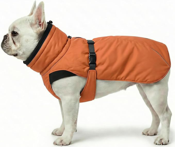 Dog Winter Coat, Warm Puffer Jacket with Fur-Safe Buckle & Leash Hole for Cold Weather, Water-Repellent Snow Vest, Breathable Thermal Apparel for Hiking & Active Dogs (Aurantium, Small)