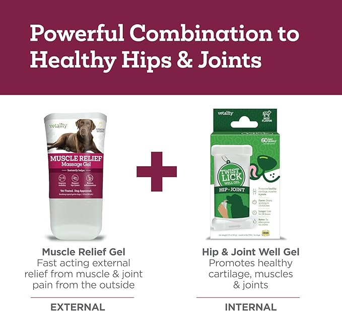 Vetality Muscle Rub Ointment for Dogs | Fast Pain Relief | Soothing Topical Anti-Inflammatory | 3 fl oz | Lemon Scent