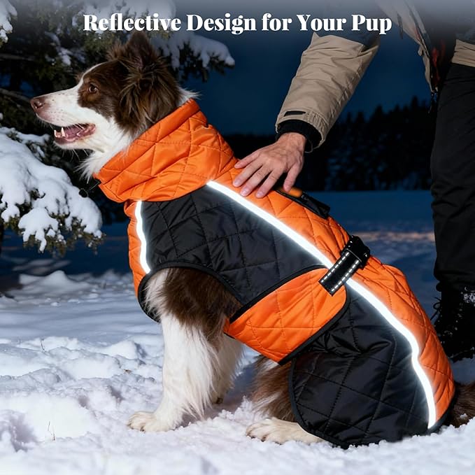 Dog Coat Dogs Jacket Waterproof Reflective Adjustable Dog-Winter Coats for Small/Medium/Large Dogs Dachshund Coat-(Orange, Large)