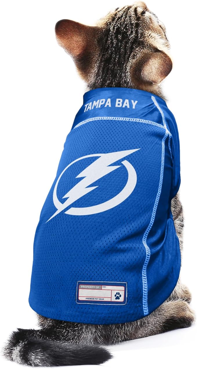Littlearth NHL Detroit Red Wings Basic Pet Jersey, Team Color