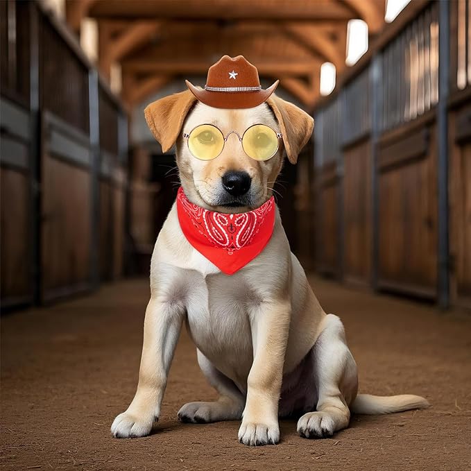 Pet Cowboy Costume Accessories for Dogs Cat Mini Cowboy Hat Sunglasses with Bandana for Halloween Party Western Cosplay (Brown)
