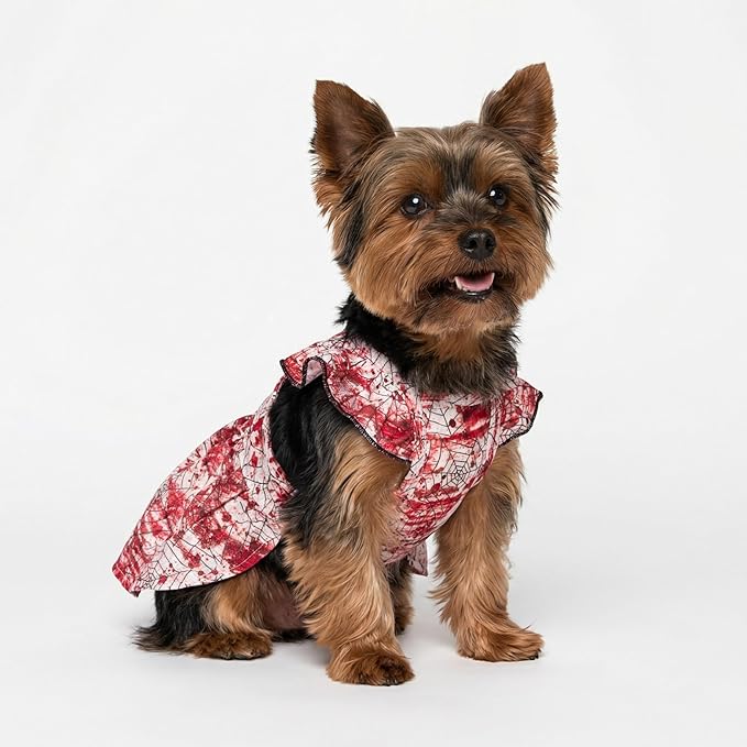 Fitwarm Halloween Spiderweb Dog Dress, Funny Dog Halloween Costumes, Doggy Clothes for Small Dogs Girl, Pet Apparel, Red, White, Black, Medium