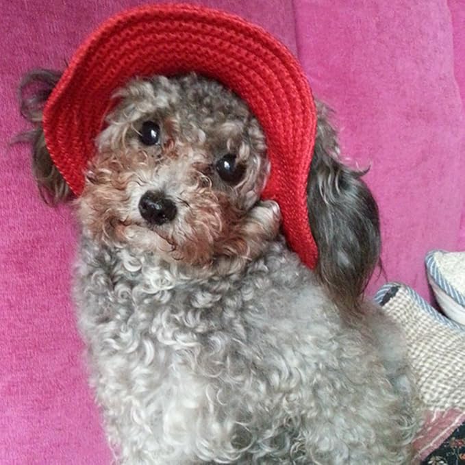 Round Brim Princess Hat Visor Hat Pet Dog Mesh Porous Sun Hat with Ear Holes for Small, Extra Small Dog Teddy, Pug, Chihuahua, Shih Tzu, Yorkshire Terriers, Papillon Red L