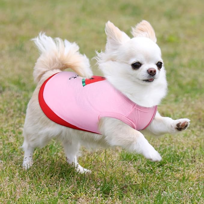Reginary 8 Pieces Dog Shirts Girl Small Dog Clothes for Chihuahuas Yorkies Female Puppy Shirts Printed Pet Outfit Cute Breathable Soft Valentine's Day Doggie Cat Lovers Gift(Cute Pattern,Size L)