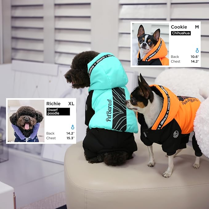 Waterproof Full Body Winter Jacket for Dogs, Dogs Snowsuit, Perfect for Cold Weather, Ideal for Small and Medium Breeds (Orange, XXL:Chest 22'', Length: 15.7'')