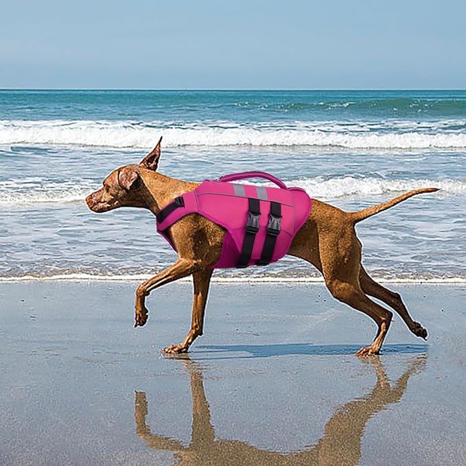 Kuoser Dog Life Jacket, High Flotation Puppy Life Vest for Swimming Boating, Reflective Dog Water Vest Pet Flotation Preserver with Rescue Handle, Rose S