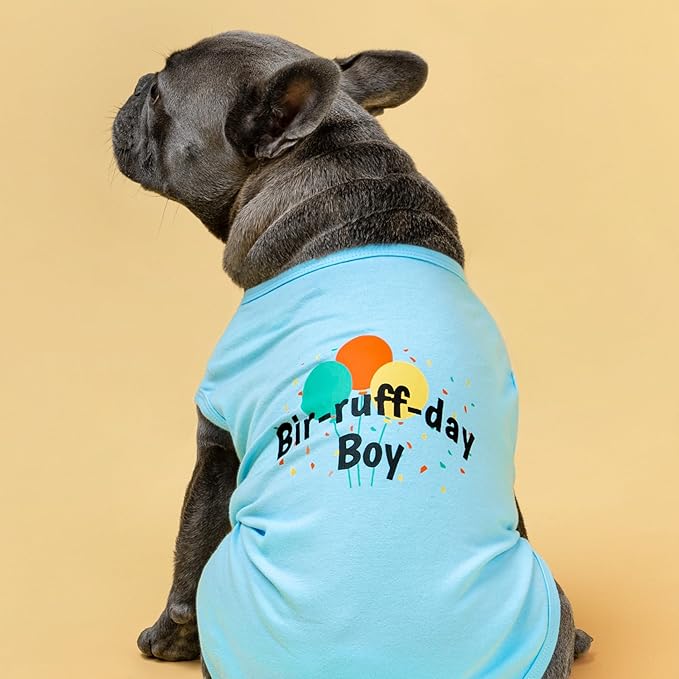 Fitwarm Birthday Boy Dog Shirt, Bir-Ruff-Day Boy Funny Dog Clothes for Small Dogs Boy, Pet Birthday Outfit, Cat Tshirt, 100% Breathable Cotton, Aqua Blue, XXL