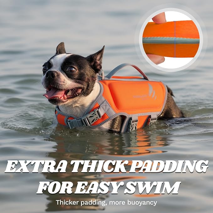 VIVAGLORY High Buoyancy Dog Life Vest, Swimming Vest with Handle, Dog Life Jacket for Swimming & Boating, Buoyancy for Puppy Doggy, M, Orange