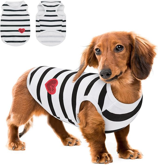 Queenmore Medium Dog Shirt,Soft Breathable Dog Shirt for Dogs Cats Boy Girl,Pet Clothes for All Season,Breathable Lightweight Pet Tshirt for Frenchie, Dachshund, Yorkie