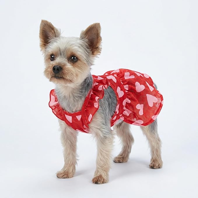 Fitwarm Valentines Day Sweet Heart Dog Dress, Dog Holiday Outfit, Dog Clothes for Small Dogs Girl, Pet Chihuahua Apparel, Red, Pink, XS