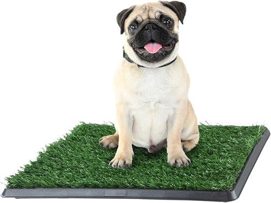 Artificial Grass Puppy Pad with Tray 16x20 inch | Reusable Indoor & Outdoor Dog Potty Training Mat System | Washable Fake Grass Pet Housebreaking Pad for Puppies & Small to Medium Dogs by PETMAKER