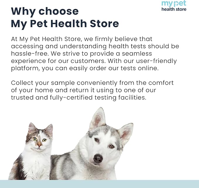 Allergen Sensitivity Test - Home Cat Allergen Test | 300 Items | Fast 3-5 Day Results | Gentle Fur Sampling | Comprehensive Food & Environment Analysis | Suitable for All Cats