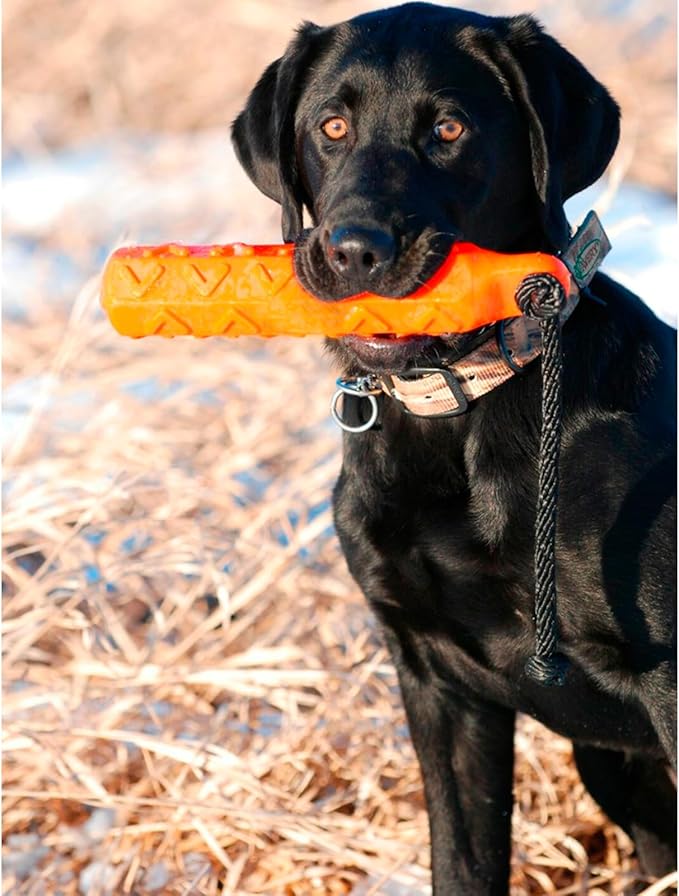 Avery ASD 3" HexaBumper Hunting Sporting Gun Dog Game Retriever Dummy | Water & Upland Mark Training Retrieval Tool | Hexagonal, Floating Design, Easy-Grip Texture, Throw Rope, Orange (02733)