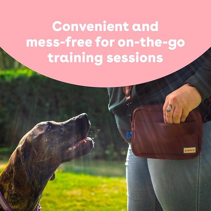 Pupford Freeze Dried Training Treats for Dogs & Puppies, 950+ Two Ingredient Bites (Salmon, 8 oz)