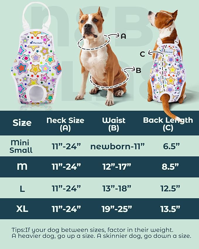 Pet Soft Dog Diapers Female Onesie Sanitary Pantie with Adjustable Suspender, Colorful Pattern Washable Puppy Diapers Female, Super Absorbent Underwear Dog Diaper for Heat (Nature, L)