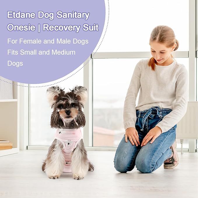 Etdane Dog Diapers Sanitary Panties Physiological Period Onesies Surgical Recovery Suits for Male and Female Dogs Pink Koala/M