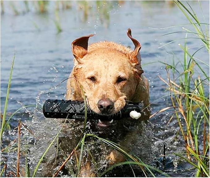 Avery ASD 3" HexaBumper Hunting Sporting Gun Dog Game Retriever Dummy | Water & Upland Mark Training Retrieval Tool | Hexagonal, Floating Design, Easy-Grip Texture, Throw Rope, Black (02732)